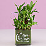 /images/pr/l/v20191202123305/2-layer-bamboo-plant-christmas-wishes_2.jpg