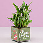 /images/pr/l/v20191202123305/2-layer-bamboo-plant-christmas-wishes_3.jpg
