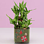 /images/pr/l/v20191202123306/2-layer-bamboo-plant-christmas-wishes_4.jpg