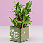 /images/pr/l/v20191202123306/2-layer-bamboo-plant-christmas-wishes_5.jpg