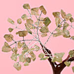 /images/pr/l/v20191215190055/green-calcite-gemstone-wishing-tree_4.jpg