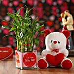 bamboo plant n teddy bear combo for vday