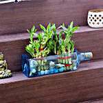 /images/pr/l/v20201111164013/double-lucky-bamboo-bombay-sapphire-bottle-planter_1.jpg