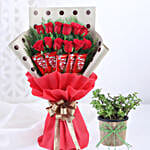 Red Roses Bunch With Jade Plant Kitkat