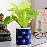 Golden Money Plant In Ceramic Printed Planter