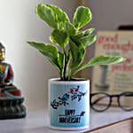 Peperomia Plant In Happy Anniversary Ceramic Planter