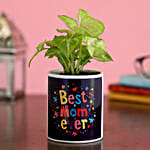 Syngonium Plant In Best Mom Ever Ceramic Planter