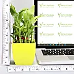 /images/pr/l/v20210712181942/2-layer-bamboo-plant-in-green-melamine-pot_3.jpg