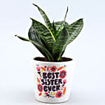 Milt Sansevieria Plant In Best Sister Ever Pot