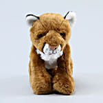 /images/pr/l/v20210824124820/wild-republic-brown-plush-mountain-lion-soft-toy_2.jpg