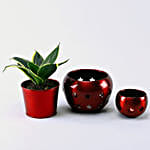 /images/pr/l/v20211013121419/sansevieria-plant-with-ganesha-idol-and-chocolates_4.jpg
