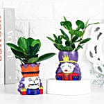 Ficus Compacta Plant In King Queen Pot Hand Delivery