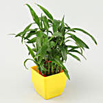 2 layer bamboo with yellow pot