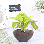Plant with Birthday Tag Online