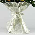 /images/pr/l/v20220706181843/vibrant-feelings-roses-bouquet_4.jpg