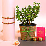 Set of 2 Holy Rakhi N Jade Plant Pot C