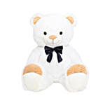 /images/pr/l/v20220906115819/cute-brown-paw-teddy-bear-white_3.jpg