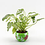 /images/pr/l/v20221013194136/philodendron-plant-green-floral-print-pot_2.jpg