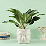 /images/pr/l/v20221229191936/aglaonema-osaka-plant-in-zen-buddha-head-pot_1.jpg