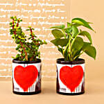 /images/pr/l/v20230107225026/nurturing-love-gift-combo_6.jpg