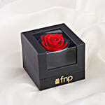 /images/pr/l/v20230206200016/red-color-forever-rose-gift-box_2.jpg