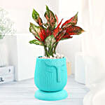/images/pr/l/v20230414161730/green-aglaonema-in-green-planter_3.jpg