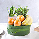 /images/pr/l/v20230531114605/plants-and-fruity-delights_7.jpg