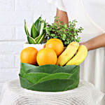/images/pr/l/v20230531114606/plants-and-fruity-delights_9.jpg