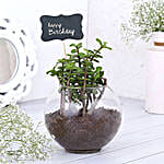 Happy Birthday Jade Plant Terrarium Vase