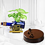 Happy Birthday Syngonium Plant N Cake Combo