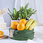 /images/pr/l/v20230720162523/plants-and-fruity-delights_1.jpg