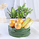 /images/pr/l/v20230720162523/plants-and-fruity-delights_2.jpg