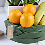 /images/pr/l/v20230720162524/plants-and-fruity-delights_5.jpg