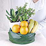 /images/pr/l/v20230720162525/plants-and-fruity-delights_6.jpg