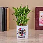 2 Layer Bamboo Plant in a White Ceramic Pot