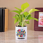 /images/pr/l/v20230724155211/money-plant-in-a-white-color-ceramic-pot_1.jpg