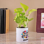 /images/pr/l/v20230724155211/money-plant-in-a-white-color-ceramic-pot_2.jpg
