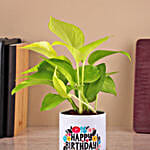 /images/pr/l/v20230724155211/money-plant-in-a-white-color-ceramic-pot_4.jpg