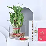Sneh Ethnic Rakhi and 2 Layer Bamboo Plant