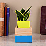 /images/pr/l/v20230909170115/sansevieria-plant-in-two-toned-mango-wood-pot_3.jpg