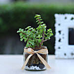 Jade Plant With Mason Jar Terrarium