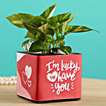 Money Plant In Lucky To Have You Glass Pots