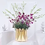 /images/pr/l/v20231012001353/a-symphony-in-purple_5.jpg