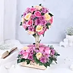 /images/pr/l/v20231016162626/tranquil-rose-fusion_5.jpg