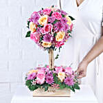 /images/pr/l/v20231016162627/tranquil-rose-fusion_6.jpg
