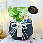 Syngonium Prosperity Plant