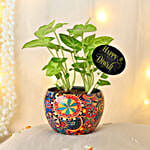 /images/pr/l/v20231103123704/syngonium-symbol-of-prosperity_1.jpg