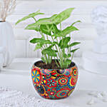 /images/pr/l/v20231103123705/syngonium-symbol-of-prosperity_6.jpg