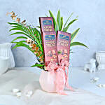 /images/pr/l/v20231116154714/fern-and-chocolate-harmony_3.jpg