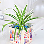 Birthday Spider Plant Joy